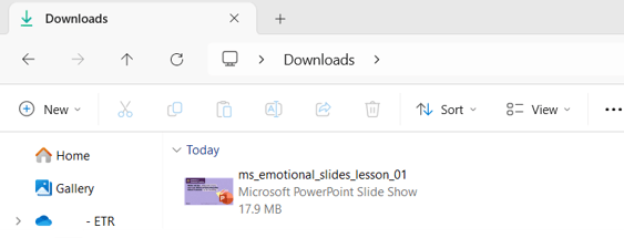 Downloads Folder
