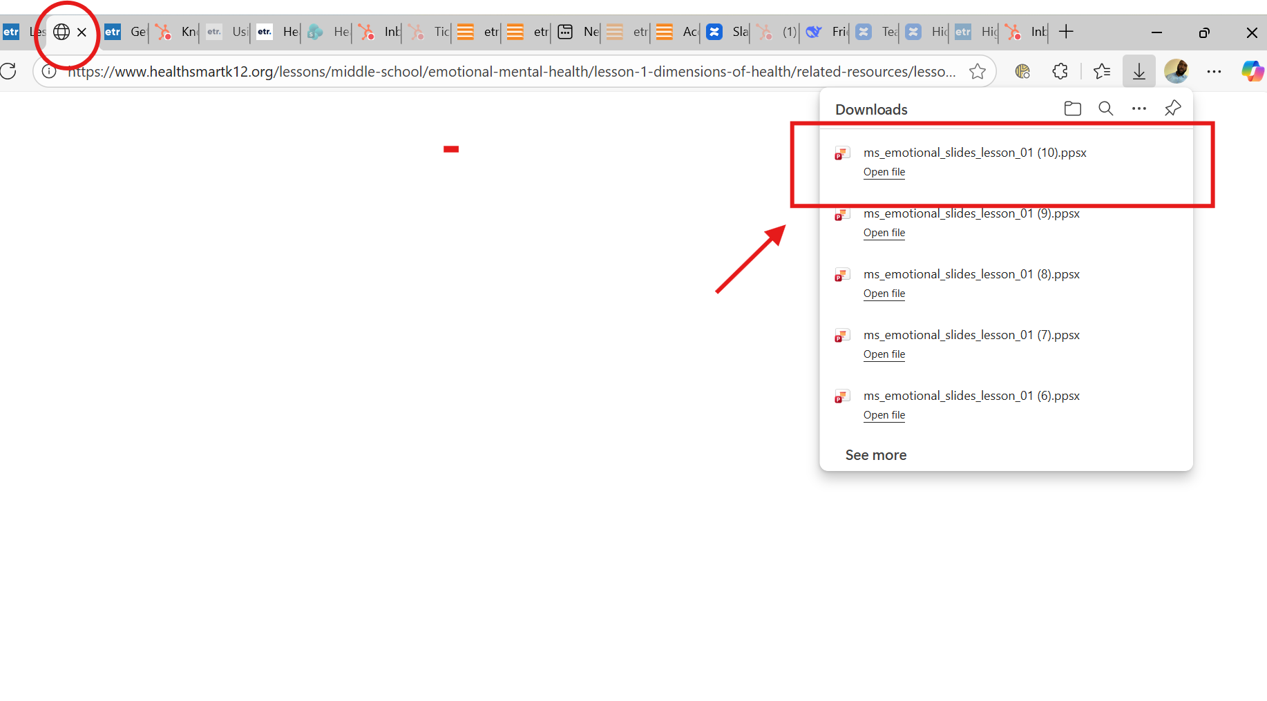 Using PowerPoint (PPX) Slides
