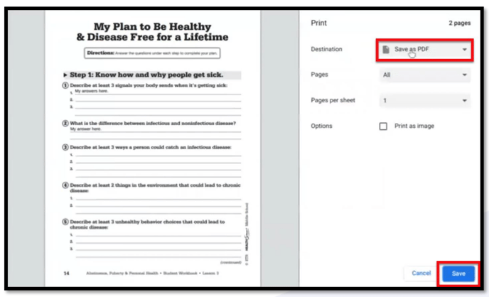 Save as PDF
